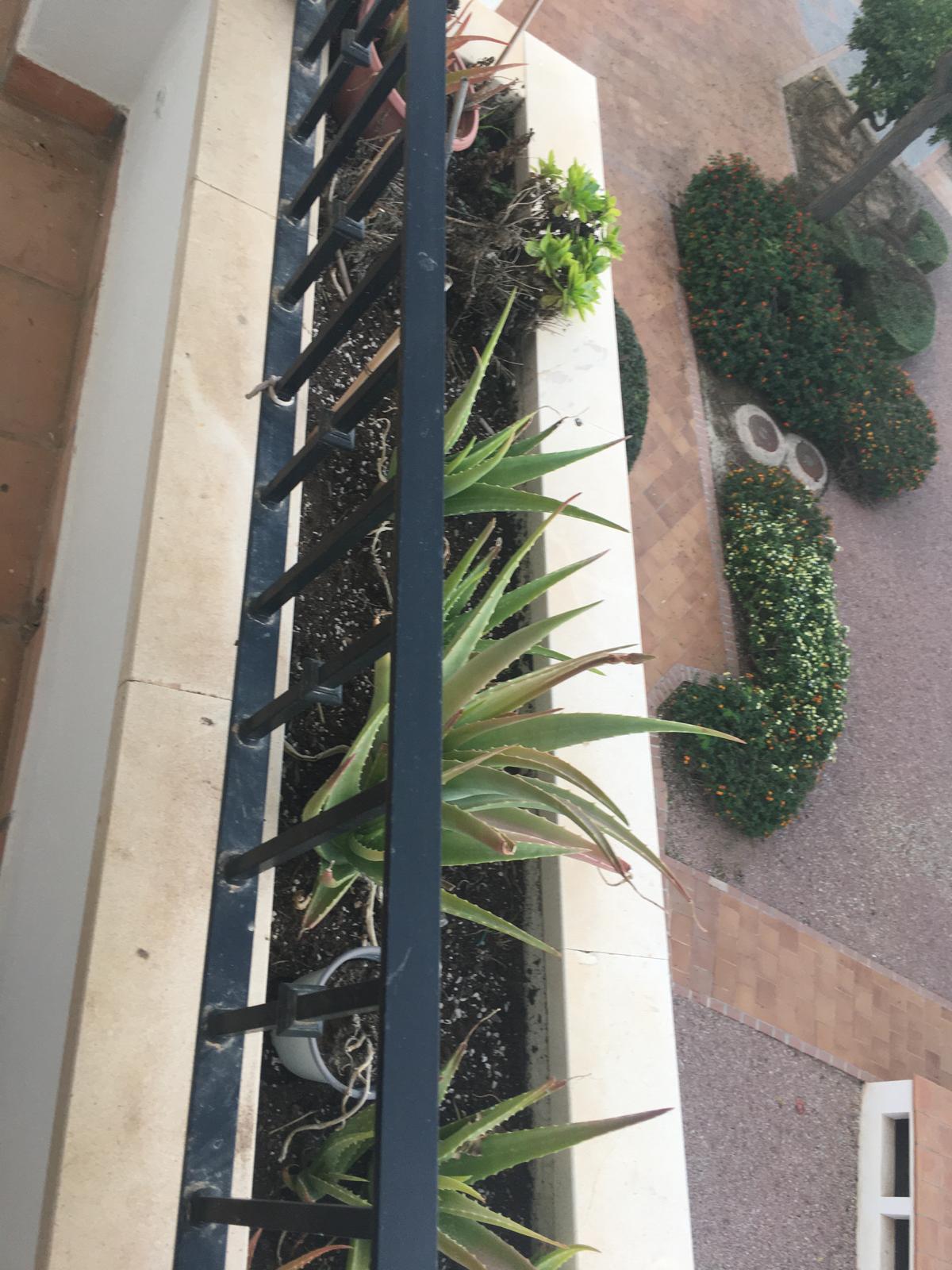 50018_WhatsApp Image 2024-11-28 at 17.23.22 (1).jpeg